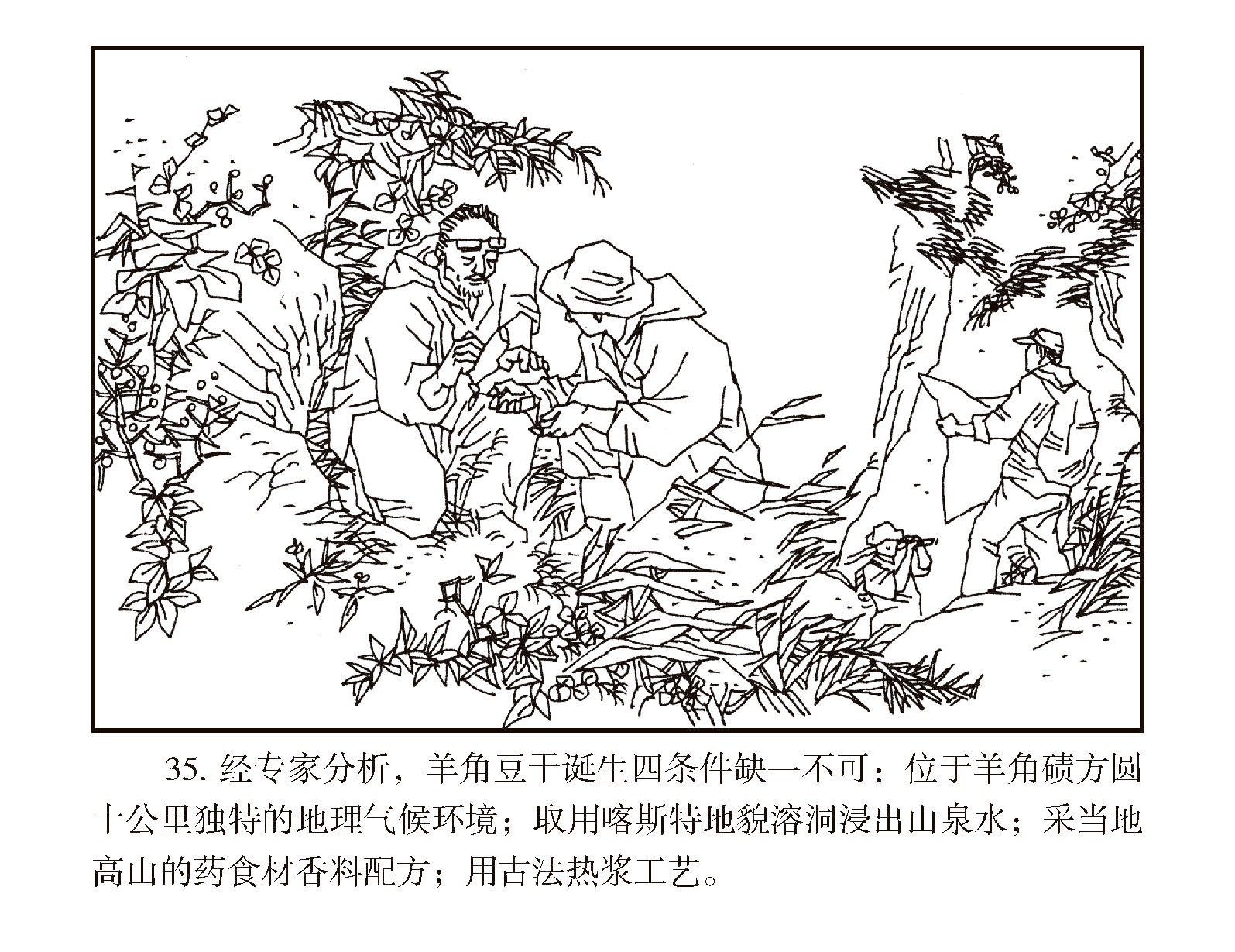 经专家分析，蘑菇视频
